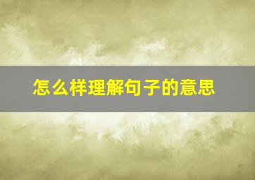 怎么样理解句子的意思