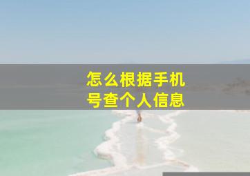 怎么根据手机号查个人信息