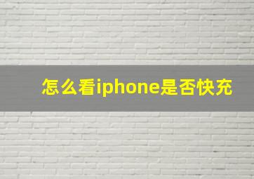 怎么看iphone是否快充