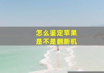 怎么鉴定苹果是不是翻新机