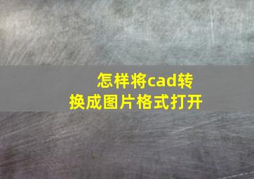 怎样将cad转换成图片格式打开