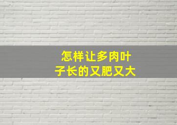 怎样让多肉叶子长的又肥又大