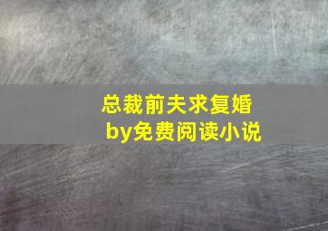 总裁前夫求复婚by免费阅读小说