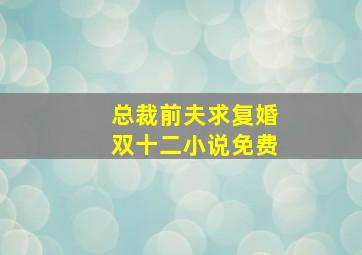 总裁前夫求复婚双十二小说免费