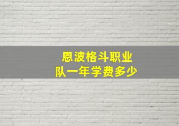 恩波格斗职业队一年学费多少