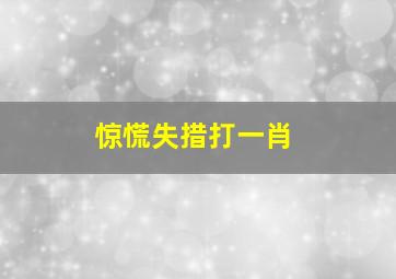 惊慌失措打一肖