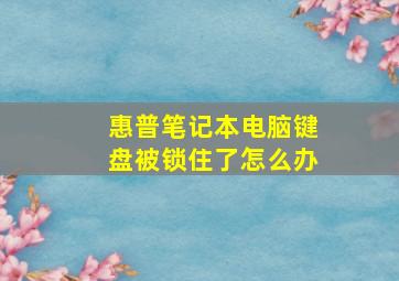 惠普笔记本电脑键盘被锁住了怎么办