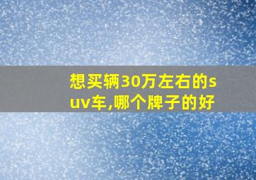 想买辆30万左右的suv车,哪个牌子的好