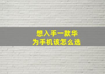 想入手一款华为手机该怎么选