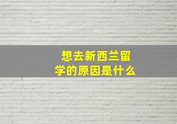 想去新西兰留学的原因是什么