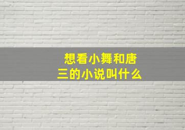 想看小舞和唐三的小说叫什么