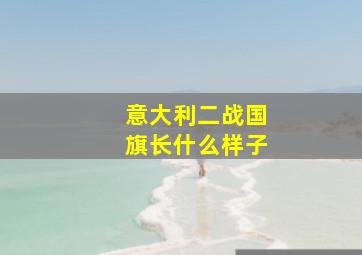 意大利二战国旗长什么样子