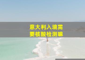 意大利入境需要核酸检测嘛