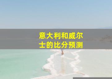 意大利和威尔士的比分预测