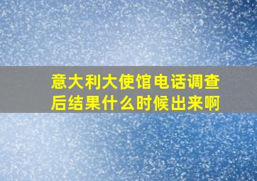 意大利大使馆电话调查后结果什么时候出来啊