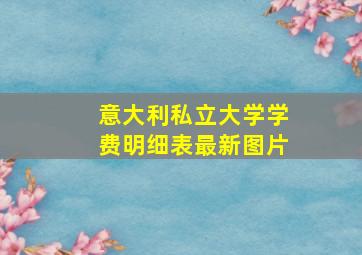 意大利私立大学学费明细表最新图片