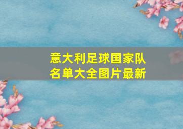 意大利足球国家队名单大全图片最新