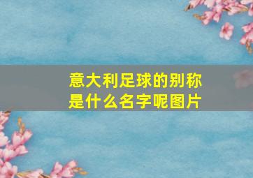 意大利足球的别称是什么名字呢图片