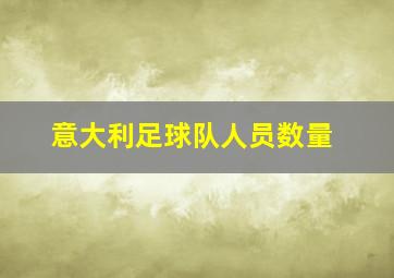 意大利足球队人员数量