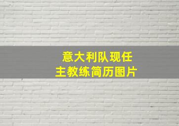 意大利队现任主教练简历图片