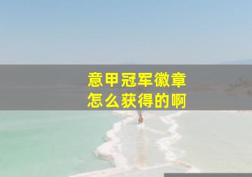 意甲冠军徽章怎么获得的啊