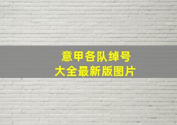 意甲各队绰号大全最新版图片