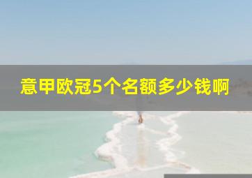 意甲欧冠5个名额多少钱啊