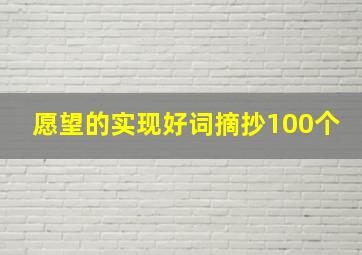 愿望的实现好词摘抄100个