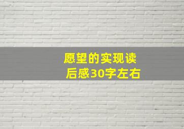 愿望的实现读后感30字左右