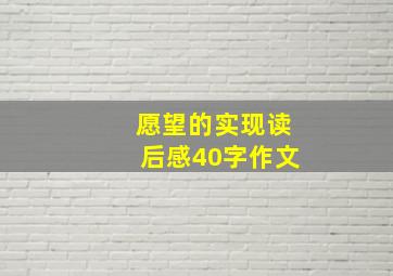 愿望的实现读后感40字作文