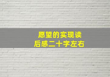 愿望的实现读后感二十字左右