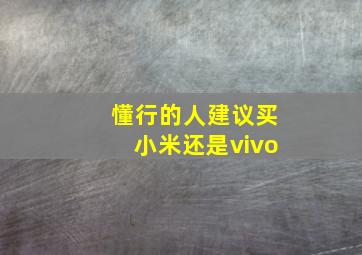 懂行的人建议买小米还是vivo