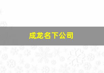 成龙名下公司