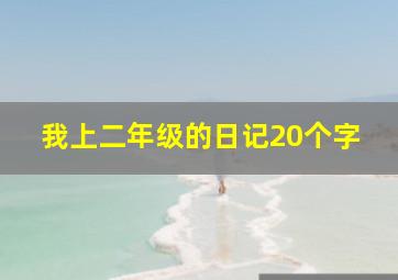 我上二年级的日记20个字