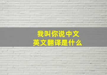 我叫你说中文英文翻译是什么