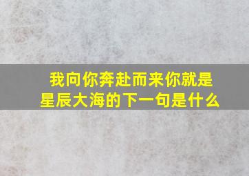 我向你奔赴而来你就是星辰大海的下一句是什么