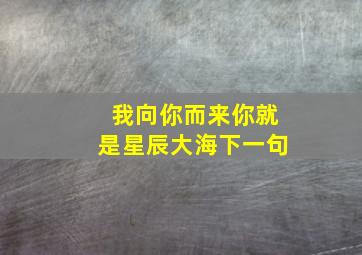 我向你而来你就是星辰大海下一句