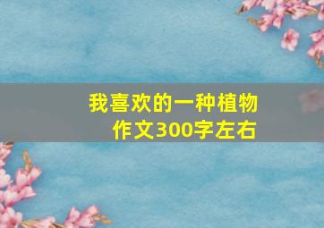 我喜欢的一种植物作文300字左右