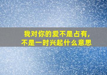 我对你的爱不是占有,不是一时兴起什么意思