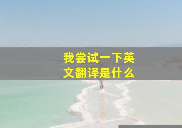 我尝试一下英文翻译是什么