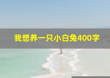 我想养一只小白兔400字