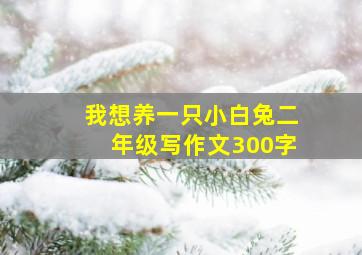 我想养一只小白兔二年级写作文300字