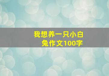 我想养一只小白兔作文100字