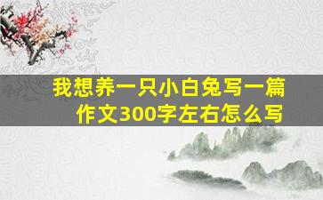 我想养一只小白兔写一篇作文300字左右怎么写