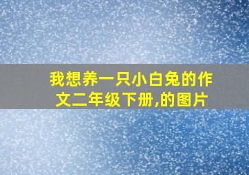 我想养一只小白兔的作文二年级下册,的图片