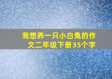 我想养一只小白兔的作文二年级下册35个字