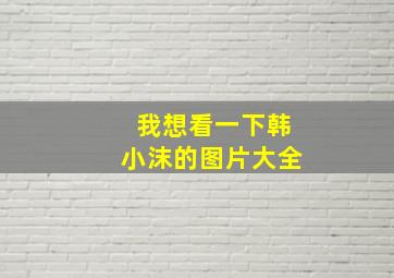 我想看一下韩小沫的图片大全