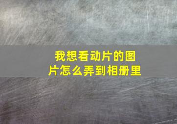 我想看动片的图片怎么弄到相册里