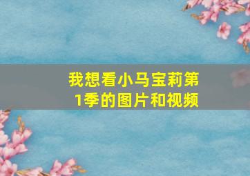 我想看小马宝莉第1季的图片和视频