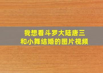 我想看斗罗大陆唐三和小舞结婚的图片视频